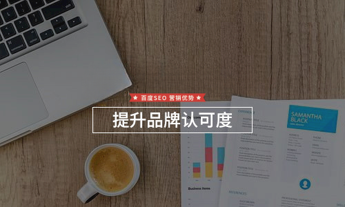 探寻上海优化公司竞争力：打造个性化数字营销方案主题配图
